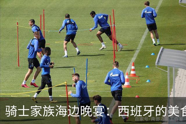 骑士家族海边晚宴：西班牙的美食与欢笑交织